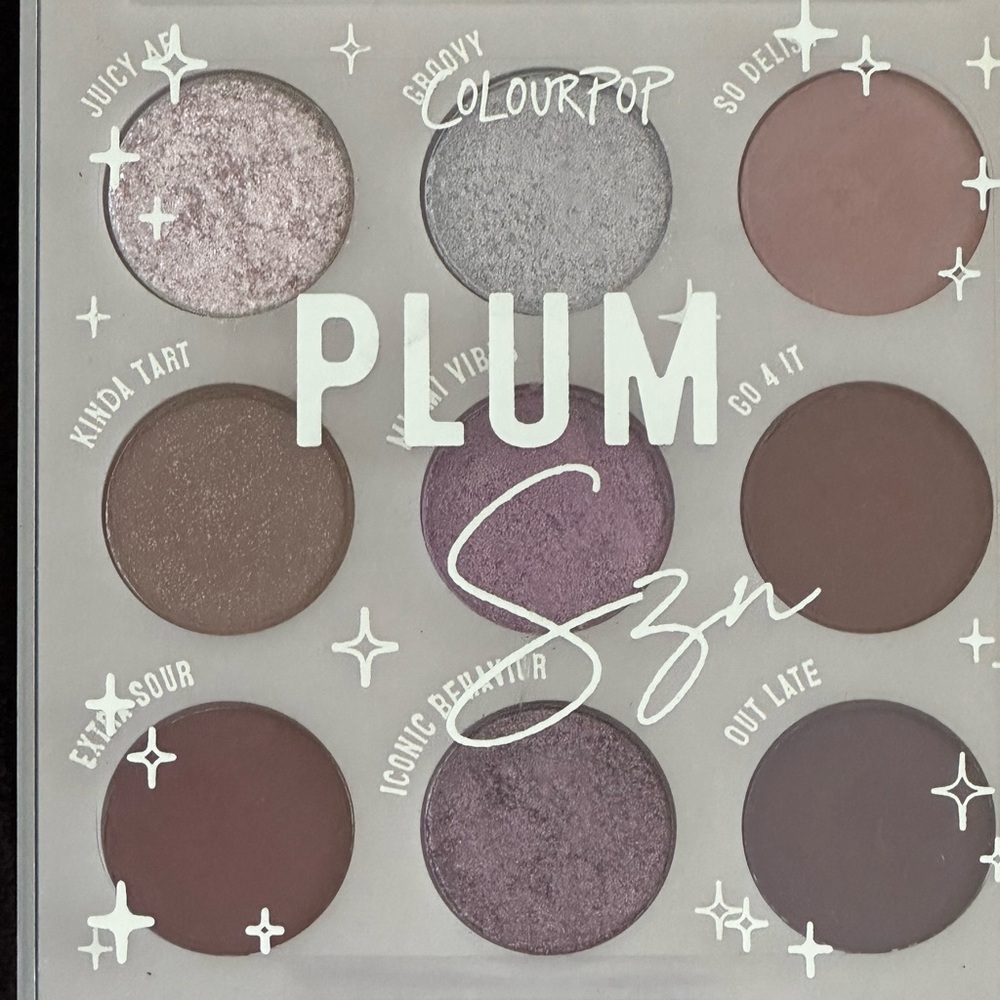 Colour Pop Plum Szn eyeshadow palette